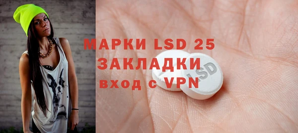 ПСИЛОЦИБИНОВЫЕ ГРИБЫ Осташков