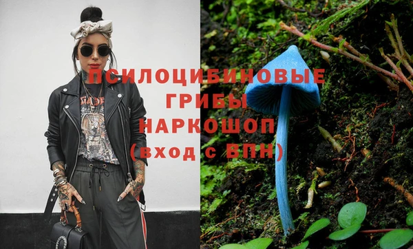 МДПВ Абинск