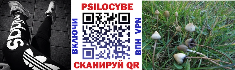 OMG сайт  купить закладку  Алдан  Галлюциногенные грибы мицелий 